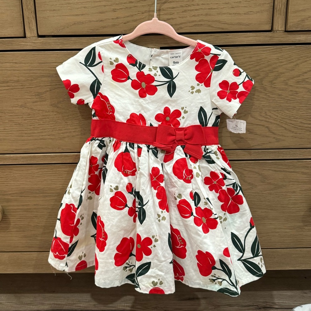 NWT 9M Carters Dress
